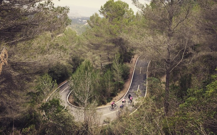 Mallorca2017_Serpentine